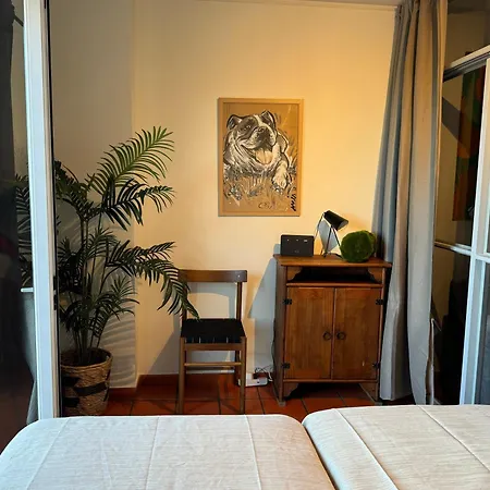公寓 Casa Da Rocha-praia Da Rocha & *
